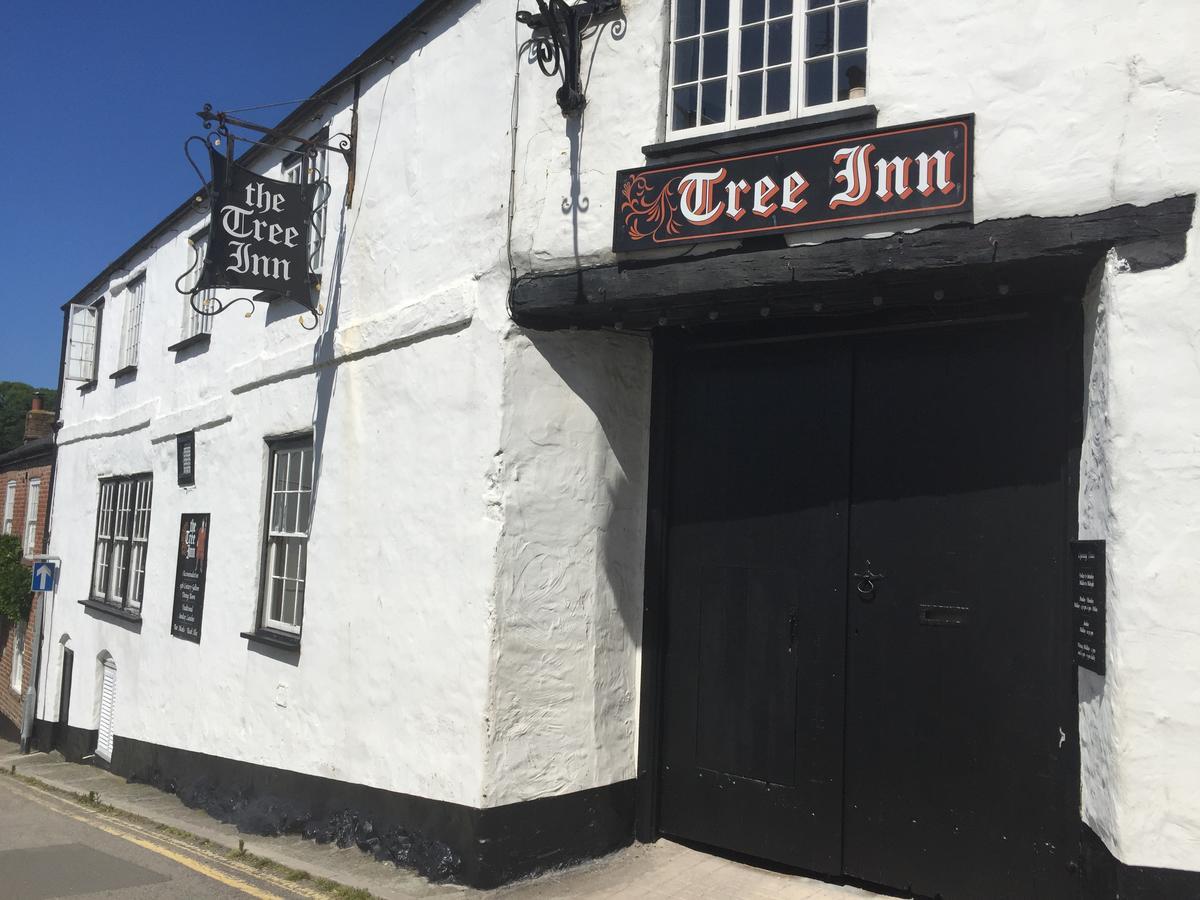 The Tree Inn Bude Eksteriør bilde