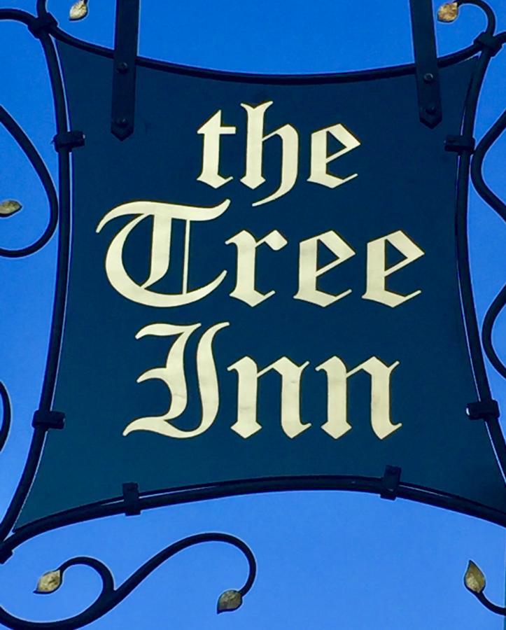 The Tree Inn Bude Eksteriør bilde