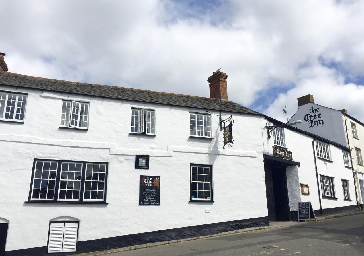 The Tree Inn Bude Eksteriør bilde